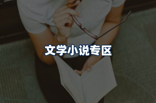 文学小说PDF展示